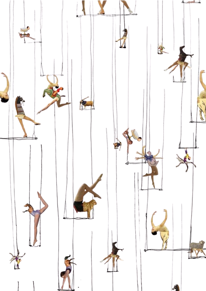 Circus performers